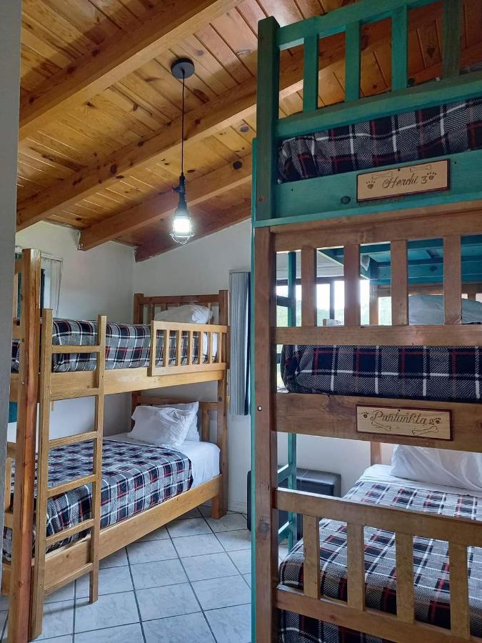 Hostal Pata De Perro ครีล ภายนอก รูปภาพ